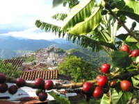 /album/fotogaleria-como-esta-conformado/paisajecafetero-jpg/
