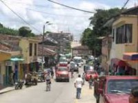 /album/fotogaleria-como-esta-conformado/a5-jpeg/